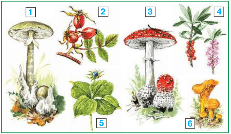 Задание рисунок 1
