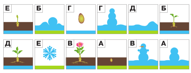 Задание рисунок 1